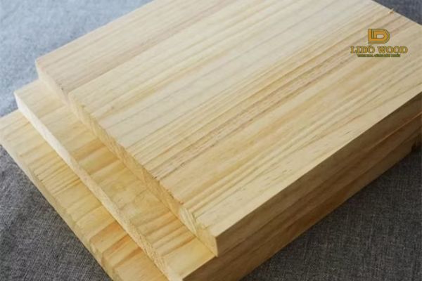 Cách bảo quản bạch dương Ukraine