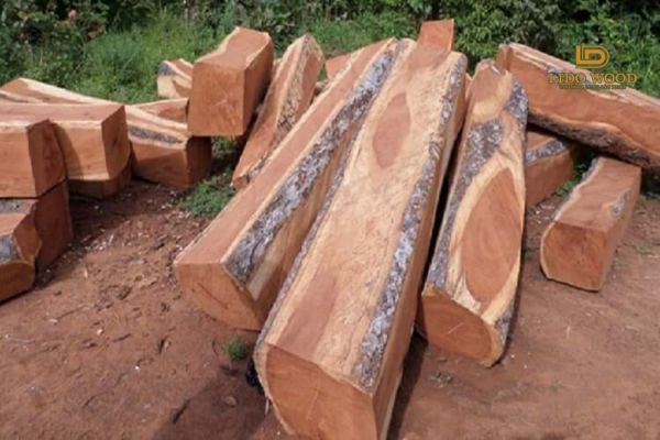 Giá của nó trên thị trường