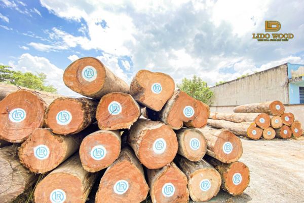 Giá gỗ gõ đỏ Ghana trên thị trường