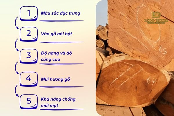 Cách nhận biết loại gõ đỏ Pachy thật