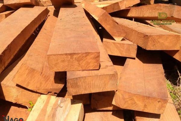 Cách bảo quản gõ đỏ Pachy bền lâu