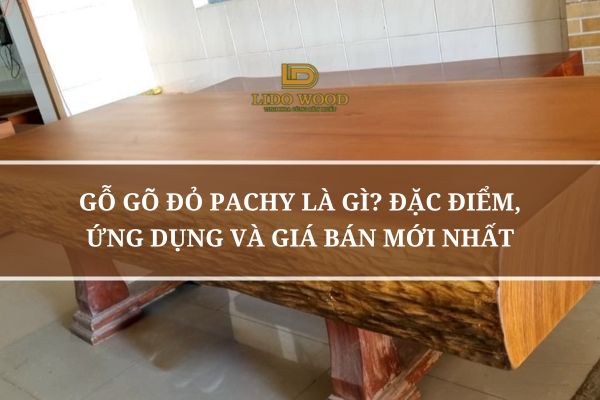 Gỗ Gõ Đỏ Pachy Là Gì? Đặc Điểm, Ứng Dụng Và Giá Bán Mới Nhất
