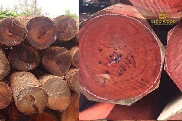 Cách bảo quản loại gỗ này