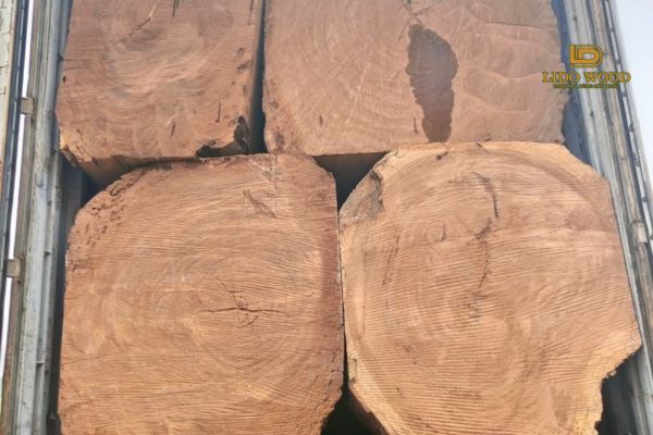 Đặc điểm nhận biết loài hương Eku