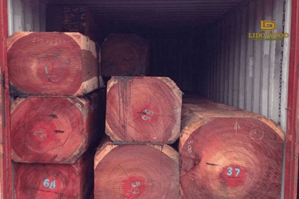 Ưu nhược điểm của nó