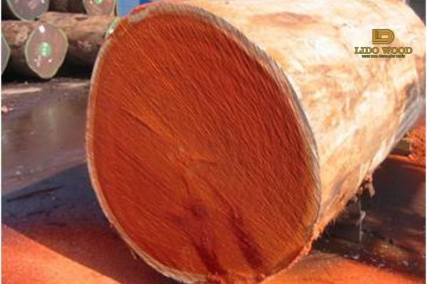 Ưu điểm và nhược điểm của loại gỗ này