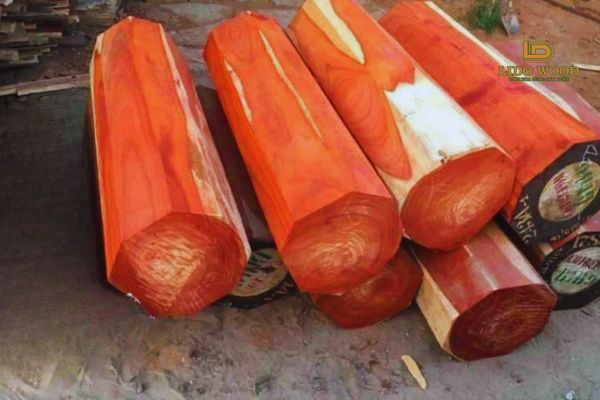 Cách bảo quản và sử dụng gỗ hương hiệu quả