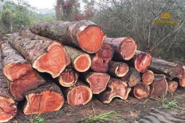 Giữ màu sắc và mùi thơm tự nhiên