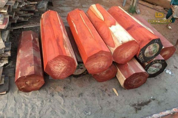 Vệ sinh và bảo dưỡng định kỳ