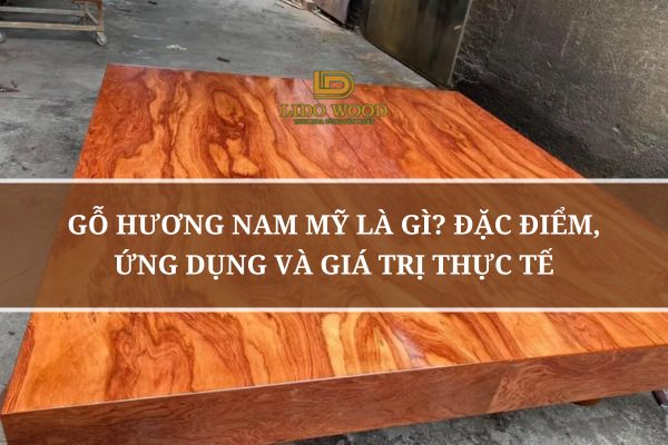 Gỗ Hương Nam Mỹ Là Gì? Đặc Điểm, Ứng Dụng Và Giá Trị Thực Tế