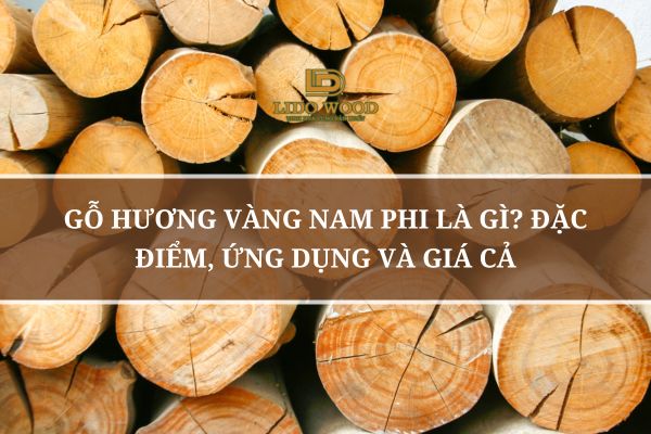 Gỗ Hương Vàng Nam Phi Là Gì? Đặc Điểm, Ứng Dụng Và Giá Cả