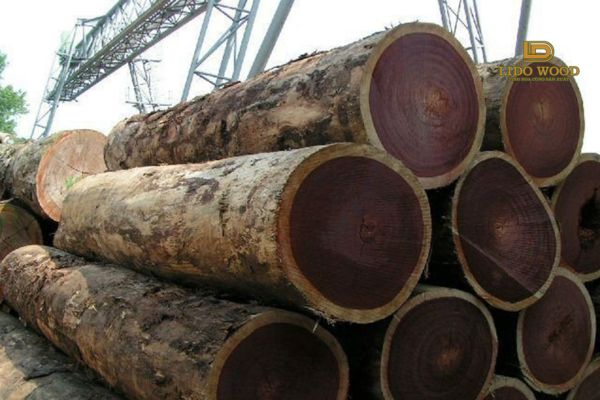 Ưu điểm và nhược điểm của gỗ Black Ash