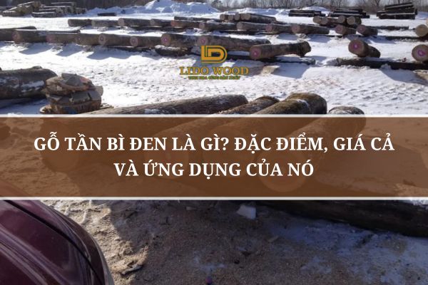 Gỗ tần bì đen
