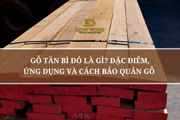 Gỗ Tần Bì Đỏ Là Gì? Đặc Điểm, Ứng Dụng Và Cách Bảo Quản Gỗ 