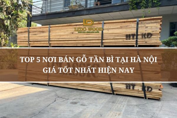 Top 5 Nơi Bán Gỗ Tần Bì Tại Hà Nội Giá Tốt Nhất Hiện Nay