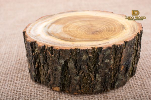 Đặc điểm của gỗ tròn Tần Bì