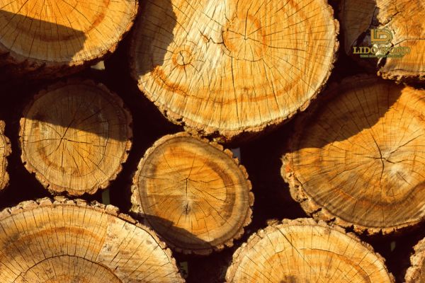 Cách bảo quản gỗ hiệu quả
