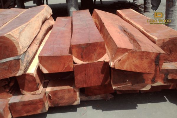 Kinh nghiệm chọn mua gỗ hương đá nhập khẩu Nam Phi
