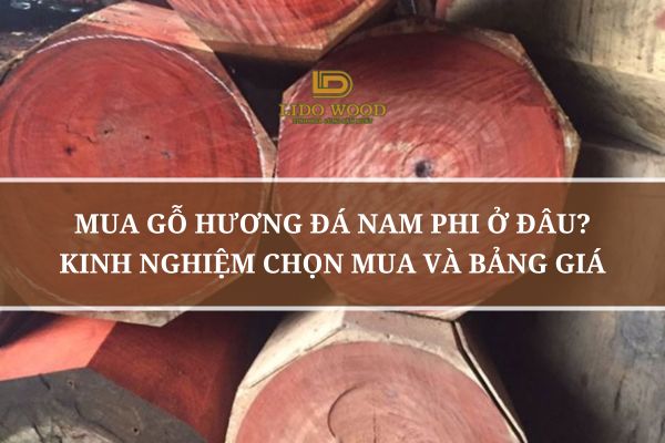Mua Gỗ Hương Đá Nam Phi Ở Đâu? Kinh Nghiệm Chọn Mua Và Bảng Giá