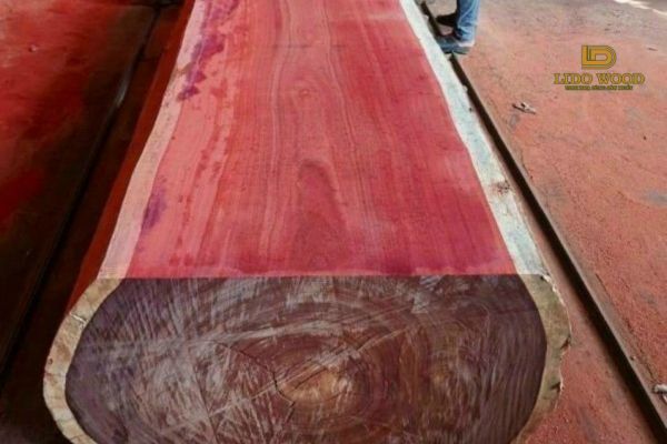 Top 3 địa chỉ mua gỗ hương nhập khẩu Nam Phi uy tín?