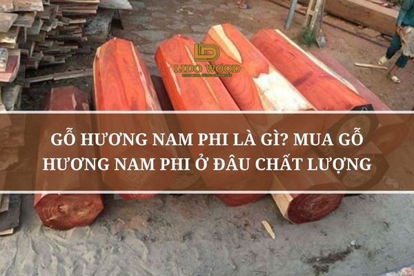 Gỗ Hương Nam Phi Là Gì? Mua Gỗ Hương Nam Phi Ở Đâu Chất Lượng