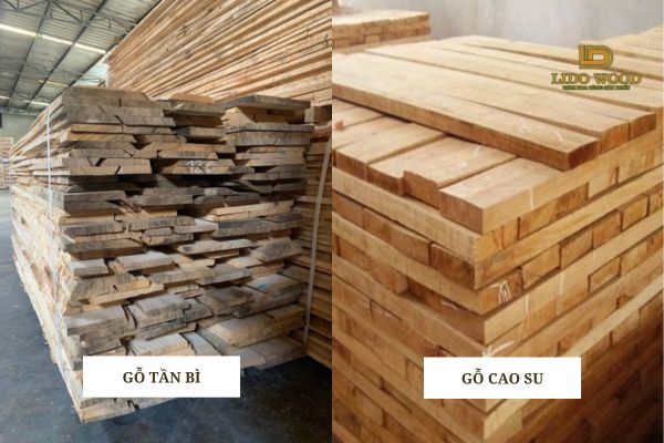 Giới thiệu chung về gỗ Tần Bì và gỗ Cao Su