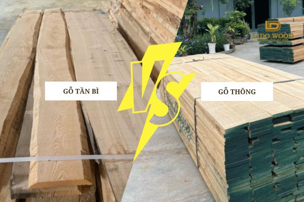 So sánh Gỗ Tần Bì và Gỗ Thông chi tiết
