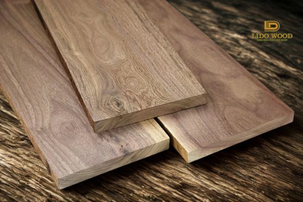 Đặc điểm nổi bật của óc chó Bắc Mỹ