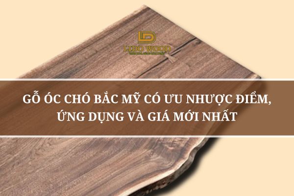 Gỗ óc chó Bắc Mỹ
