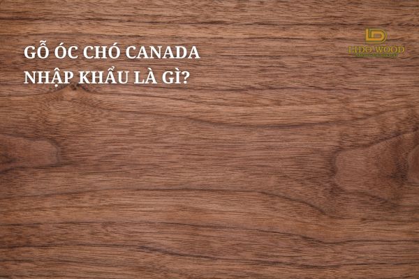 Gỗ óc chó Canada nhập khẩu là gì?