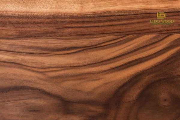 Gỗ óc chó Châu Âu nhập khẩu là gì?