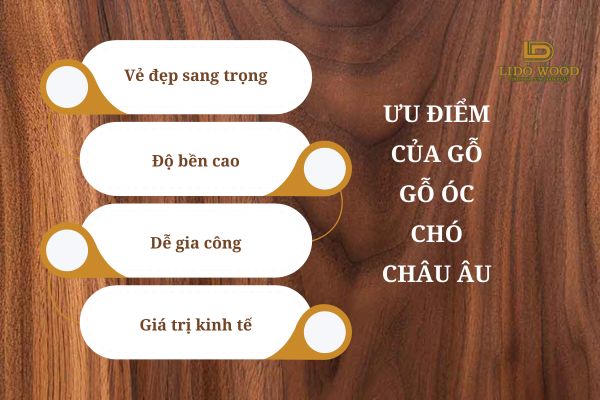 Ưu điểm của gỗ