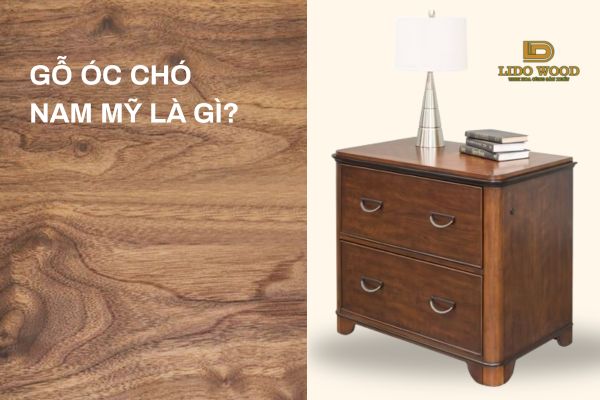 Gỗ óc chó Nam Mỹ là gì?