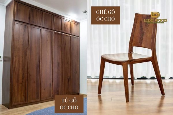 Ứng dụng phổ biến của óc chó Bắc Mỹ trong nội thất