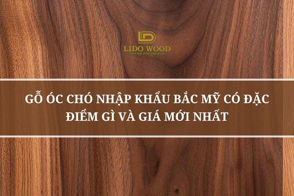 Gỗ óc chó nhập khẩu Bắc Mỹ