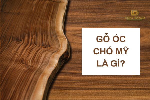 Gỗ óc chó nhập khẩu Mỹ là gì?