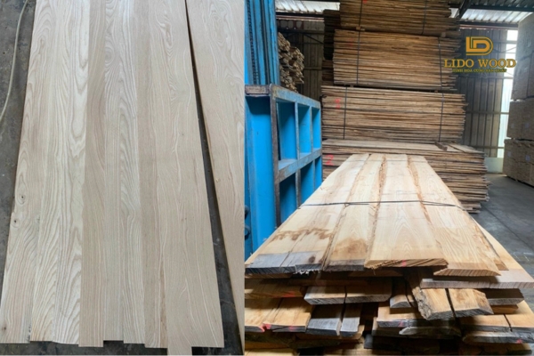 Đặc điểm nổi bật của Tần Bì Bắc Mỹ