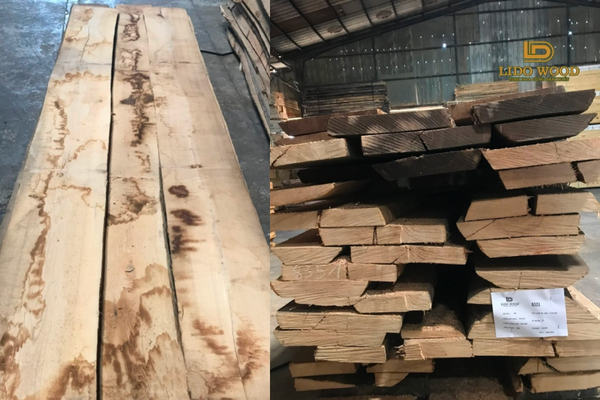 Gỗ Tần Bì Đông Âu nhập khẩu là gì?