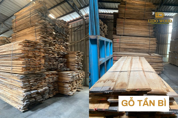 Gỗ Tần Bì là gì?