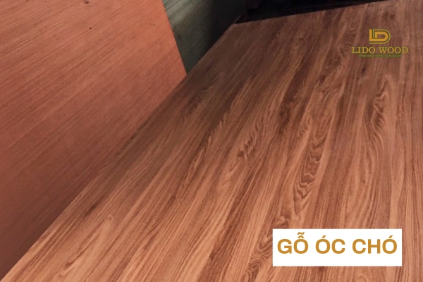 Gỗ óc chó
