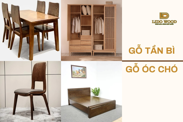 Ứng dụng của gỗ tần bì và óc chó trong nội thất