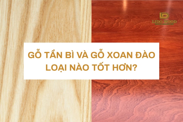 Loại nào tốt hơn?