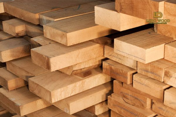 Gỗ Beech Châu Âu là gì?