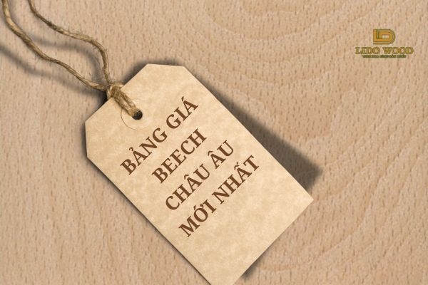 Bảng giá Beech Châu Âu mới nhất