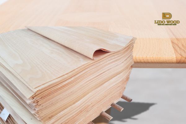 Cách bảo quản gỗ Beech