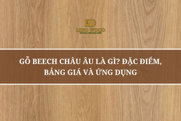 Gỗ Beech Châu Âu Là Gì? Đặc Điểm, Bảng Giá Và Ứng Dụng