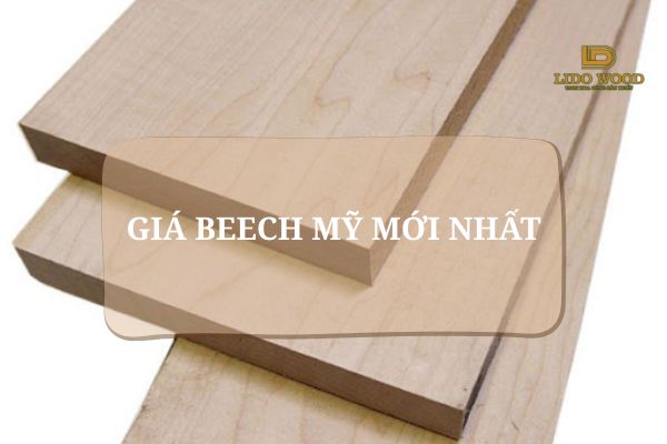 Bảng giá Beech Mỹ mới nhất