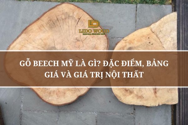 Gỗ Beech Mỹ Là Gì? Đặc Điểm, Bảng Giá Và Giá Trị Nội Thất