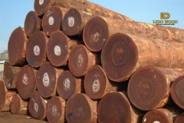 Gỗ Lim Alpi là gì?