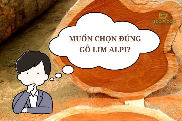 Một số mẹo nhỏ khi chọn Lim Alpi